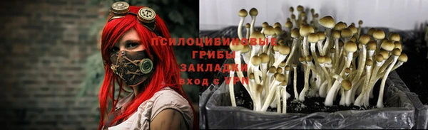MDMA Аркадак