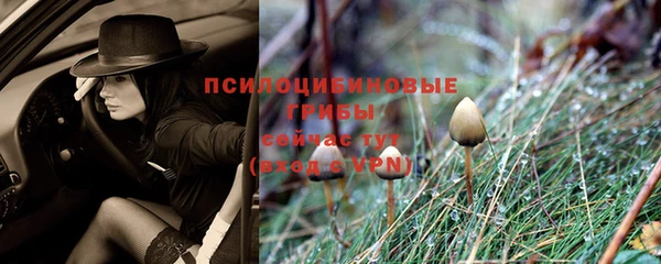 мдпв Арсеньев